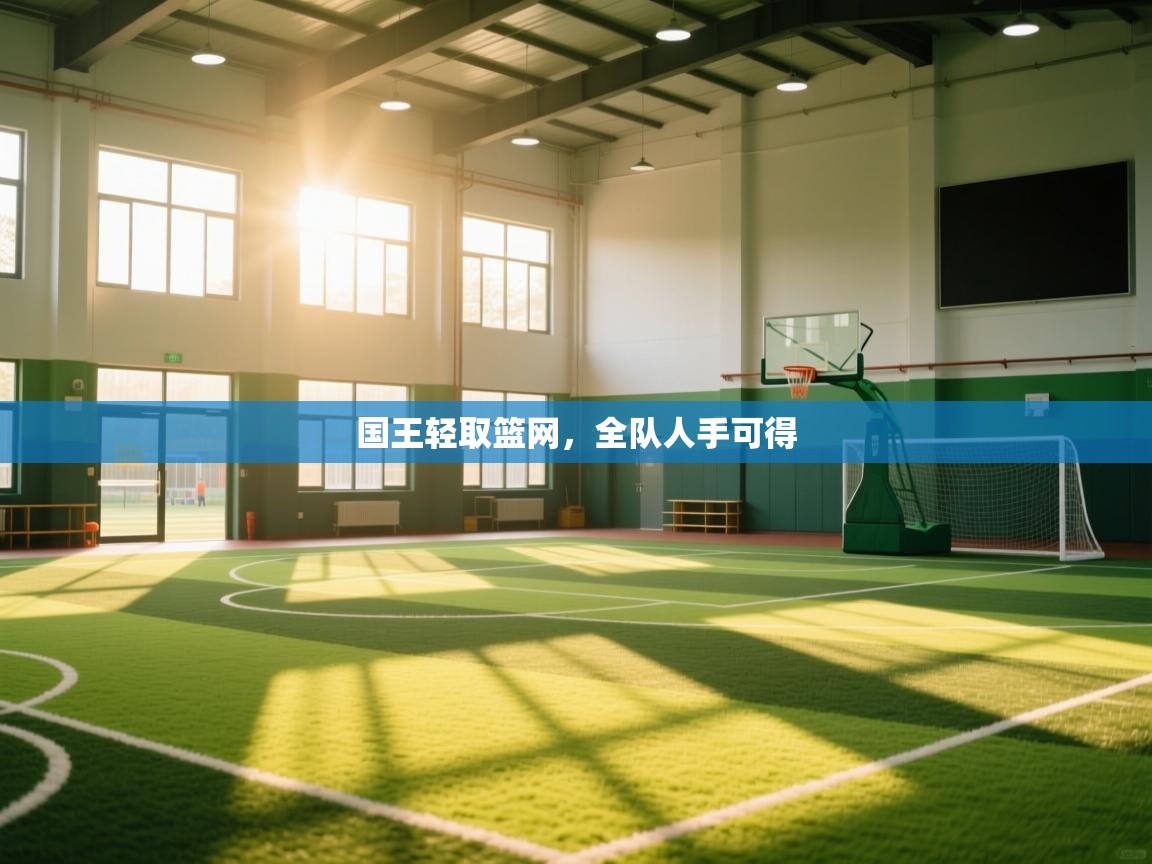 国王轻取篮网，全队人手可得  第2张
