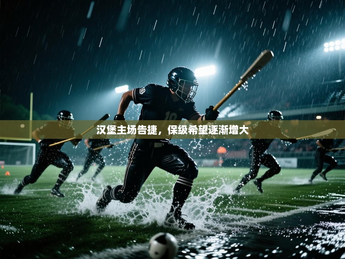 汉堡主场告捷，保级希望逐渐增大  第1张