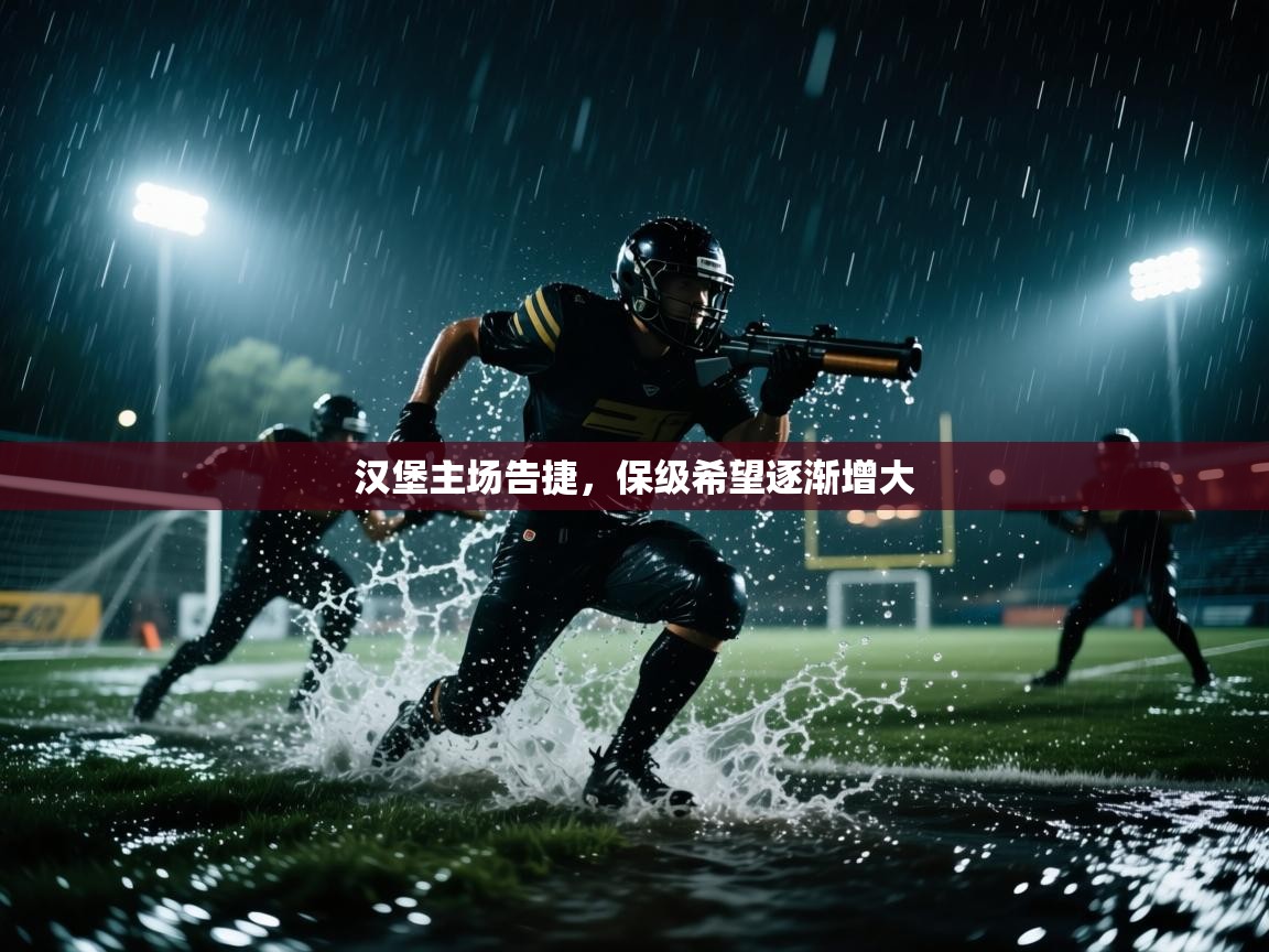 汉堡主场告捷，保级希望逐渐增大  第2张